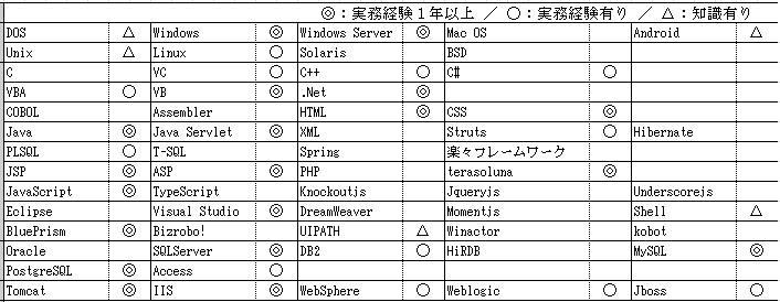 スキルシートのサンプル
